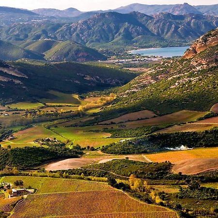 Domaine Ghjulia Lägenhet Patrimonio Exteriör bild